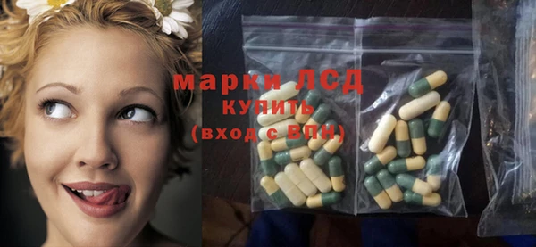 прущие грибы Алзамай