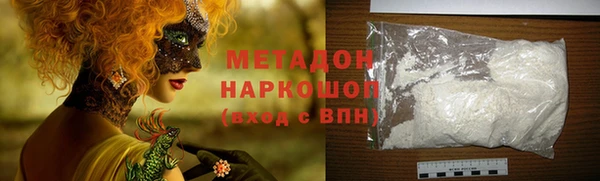прущие грибы Алзамай