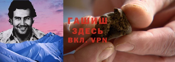 прущие грибы Алзамай