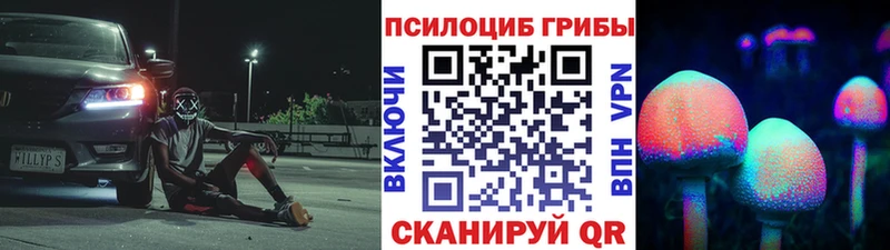 как найти наркотики  Глазов  Галлюциногенные грибы мицелий 