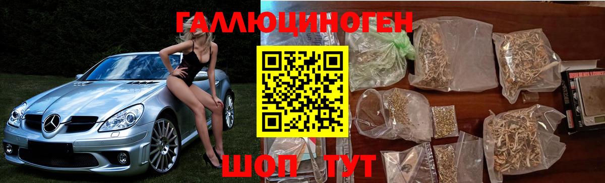 Глазов  Галлюциногенные грибы Psilocybine cubensis  Вход с VPN  Псилоцибиновые грибы мухоморы 