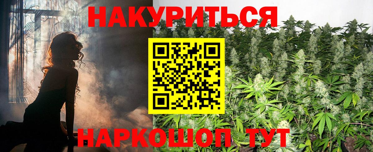 Шишки марихуана планчик  Вход с VPN  Глазов  Бошки Шишки марихуана  Канабис конопля 